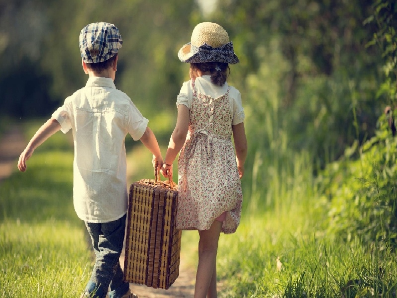 试管白蚁饲养方法主播试管宝宝胖的人试管成功